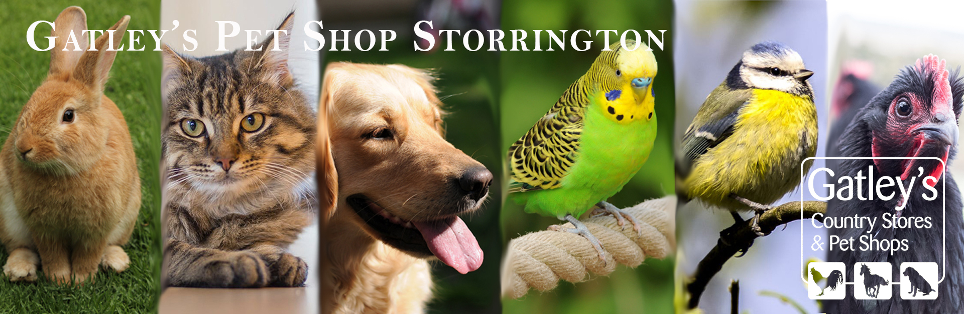Gatleys pet shop storrington