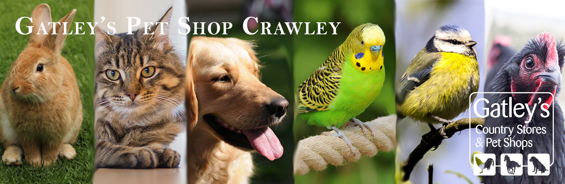 Gatley's pet shop Crawley